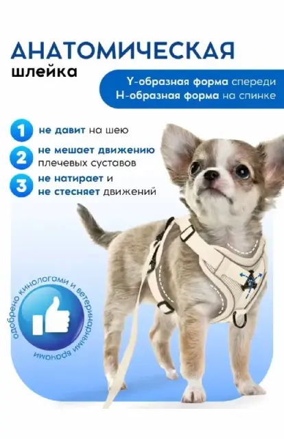 Анатомическая шлейка S размера — Батуми — 20 ₾