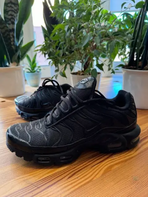 Оригинальные полностью чёрные кроссовки Nike Air Max Plus TN — Тбилиси — 600 ₾