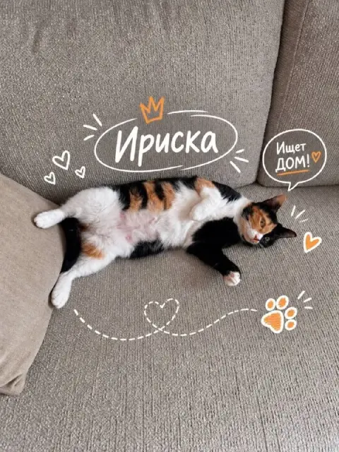 Ириска — Батуми
