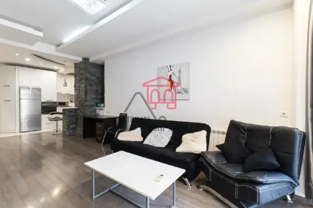 Просторная квартира в центре Мтацминда — Tbilisi — 1,400 $