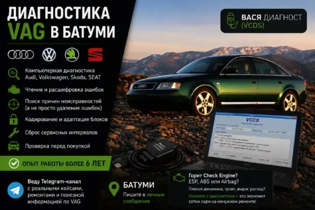 Диагностика VAG — Батуми — 50 ₾