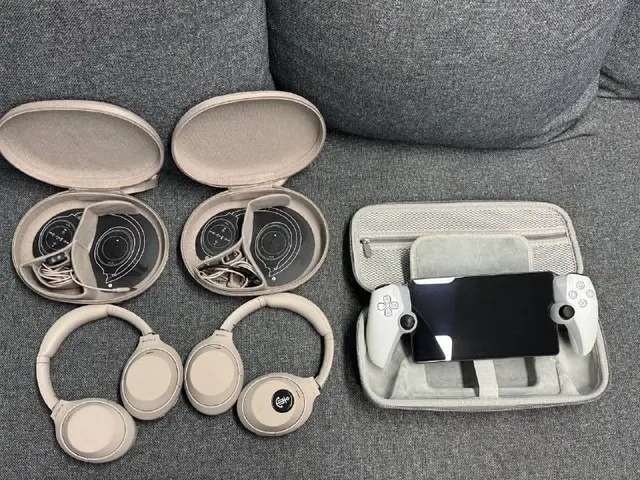 Sony WH-1000XM4 — Батуми — 450 ₾