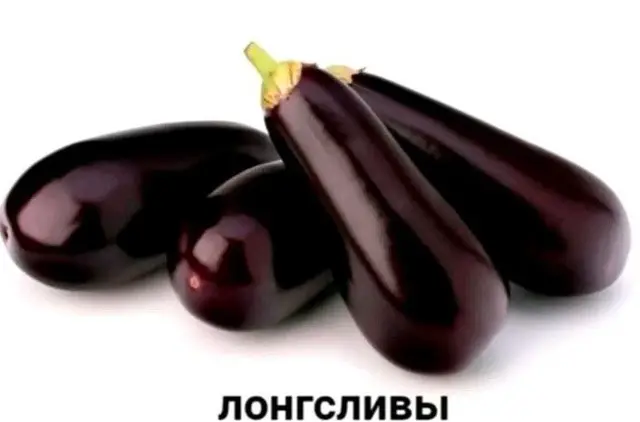 Лонгсливы и футболку Лонги-4700 Футболка-3200 — Астана — 4 700 ₸