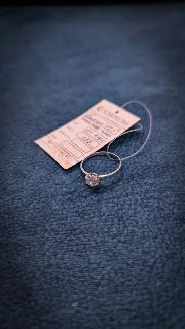 Серебряная брошь Новиком с фианитом — Тбилиси — 45 ₾