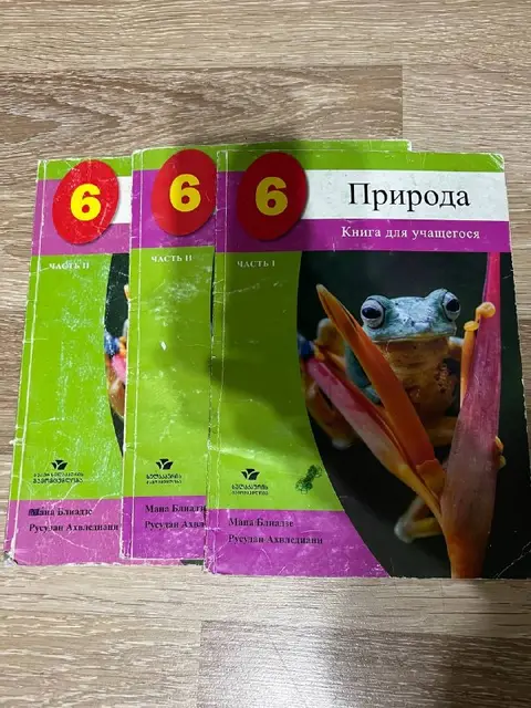 Природа, литература 6 класс — Батуми