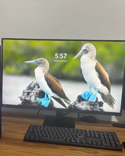 Samsung ViewFinity S7 32» 4K — Батуми — 450 ₾