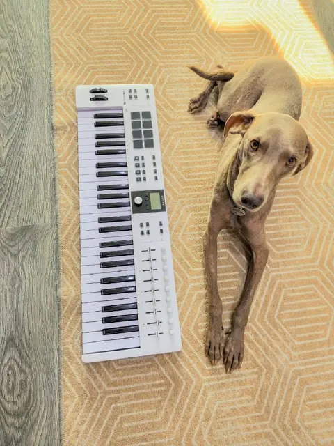 Arturia keylab essential 49 MK3 — Батуми — 300 ₾