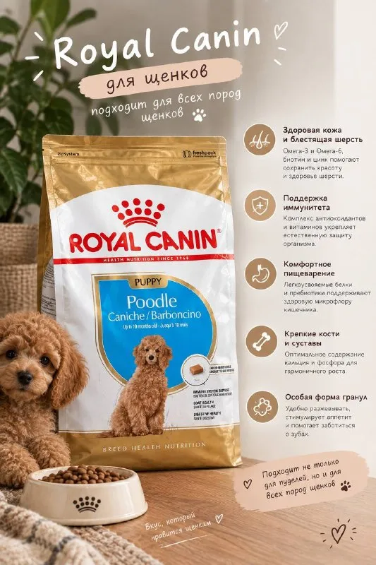 Royal Canin Poodle Puppy