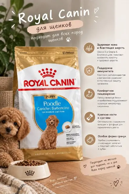 Royal Canin Poodle Puppy — Анталия — 1 500 ₺