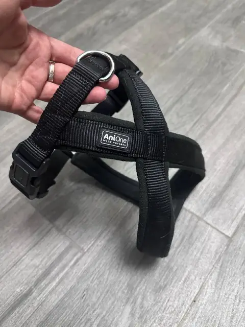 Ошейник-шлейку — Батуми — 30 ₾