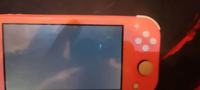 Nintendo Switch Lite — Батуми — 380 ₾