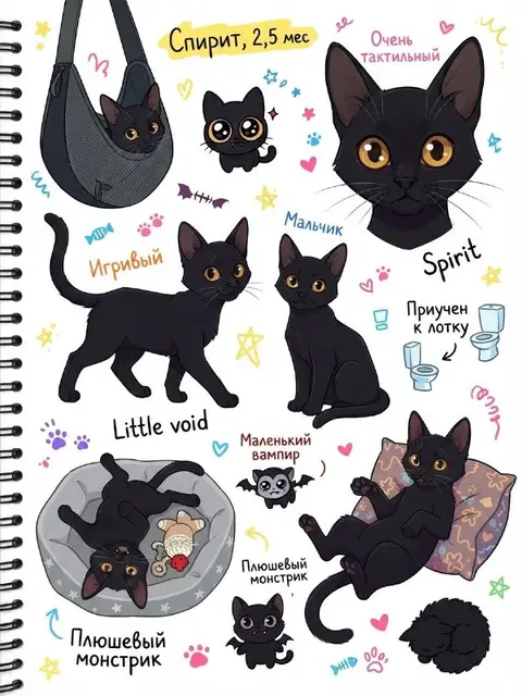 Котенок — Батуми