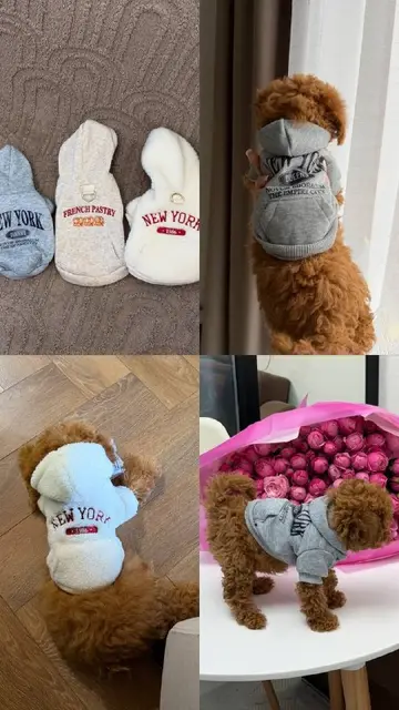 Новый гриндер для когтей — Батуми — 10 ₾