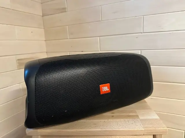 JBL BassPro Go — Тбилиси — 1 000 ₾