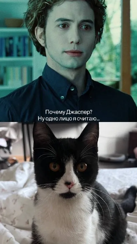 Джаспер