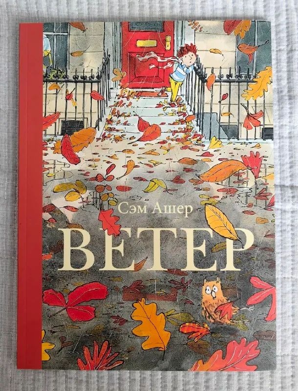 Книга Сэма Ашера «Ветер»