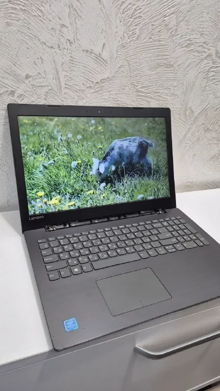 Lenovo 15.6»