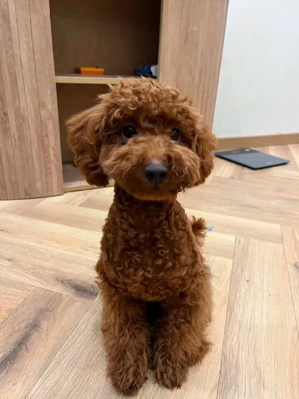 6 months
