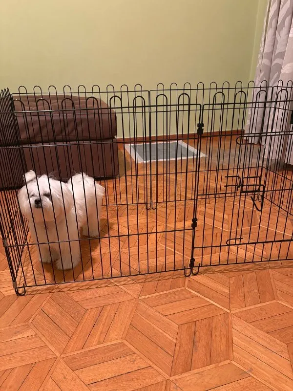 Клетка для собак