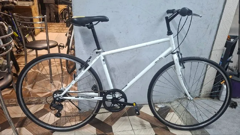 Alfiore Bike