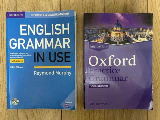 English Grammar in Use — Тбилиси — 10 ₾