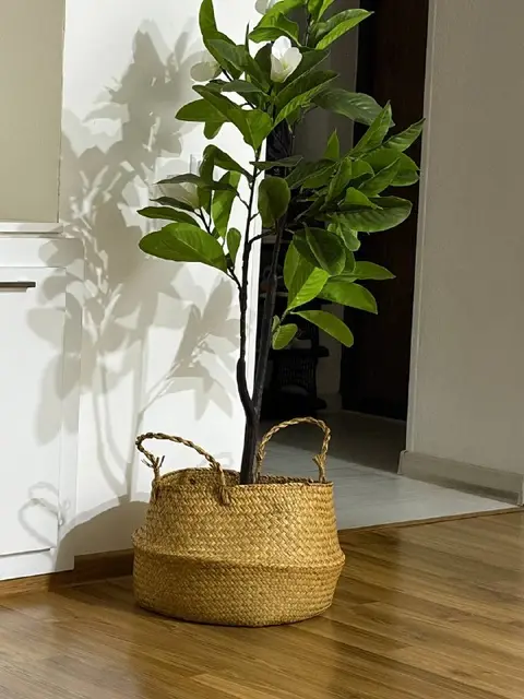 Большие кубики — Батуми — 20 ₾