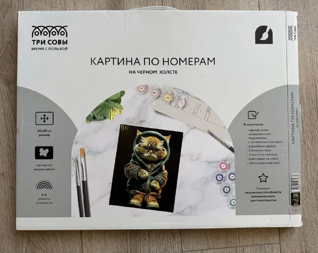 Картина по номерам 40×50см — Тбилиси — 10 ₾