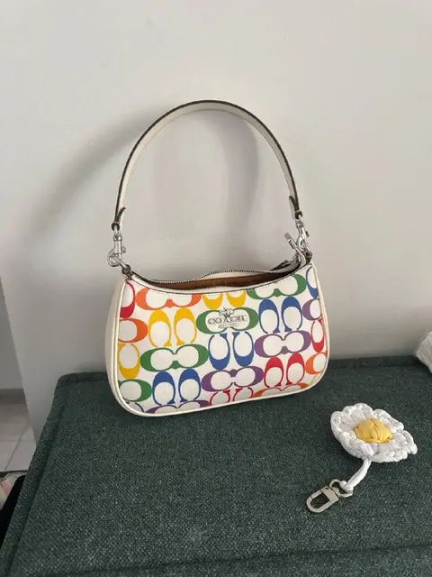 Сумка coach, лимитированный выпуск — Тбилиси — 350 ₾