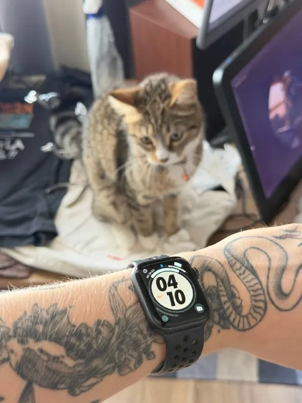 Apple Watch Nike SE 44 мм
