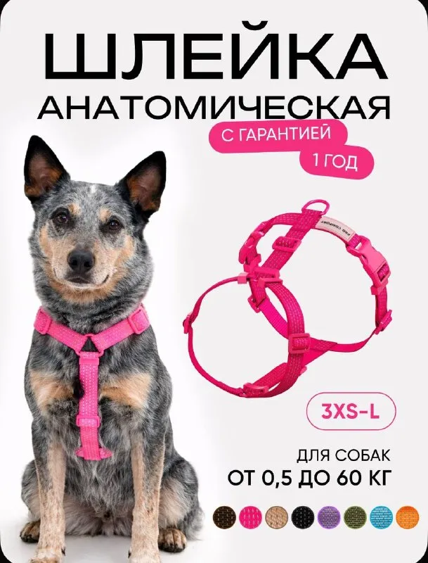 Шлейка для собак Procomfort