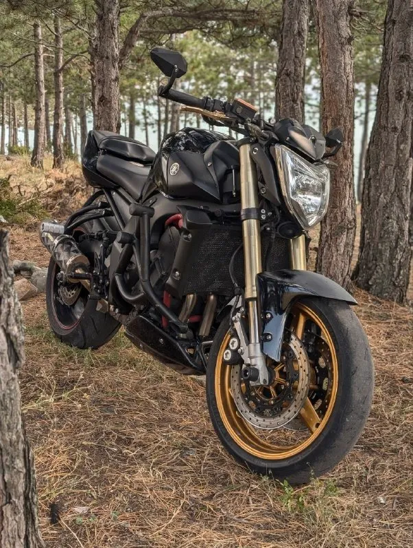 Yamaha FZ1