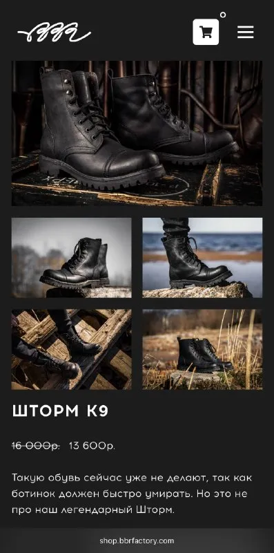 Тактические ботинки BBR «Шторм K9»