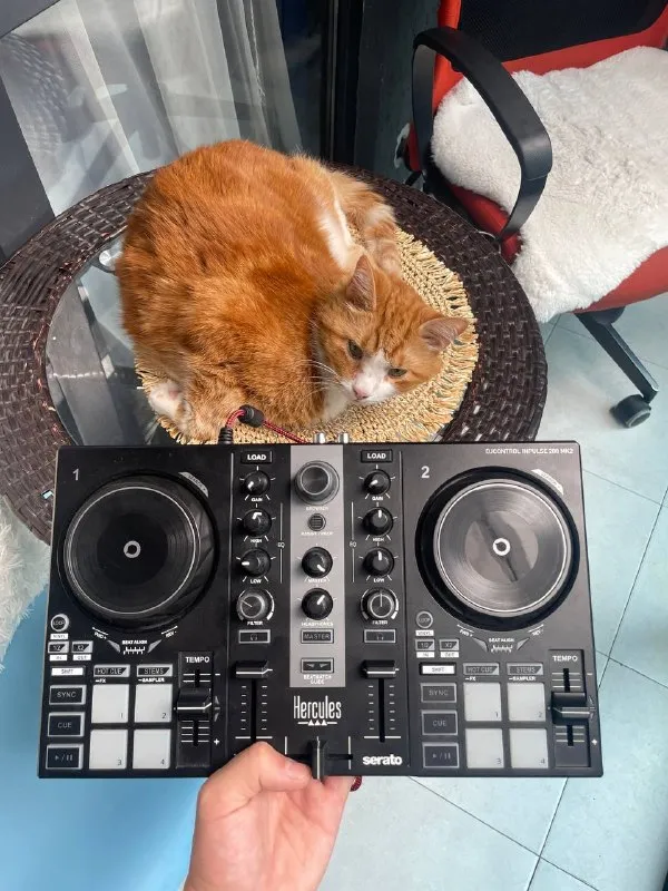 Контроллер Hercules DJControl Inpulse 200 MK2