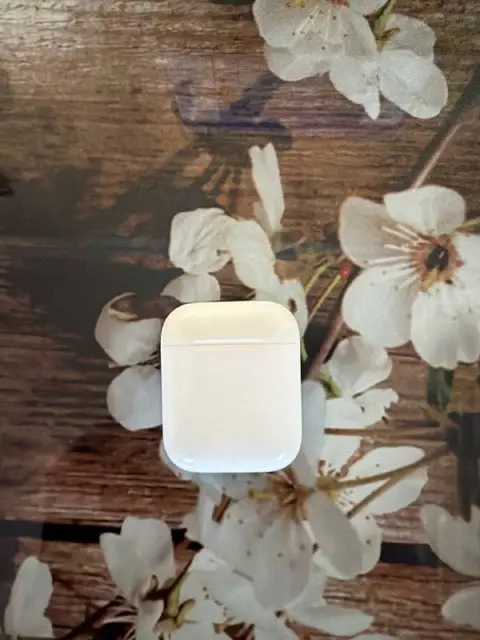 Airpods 2 — Batumi — 100 ₾