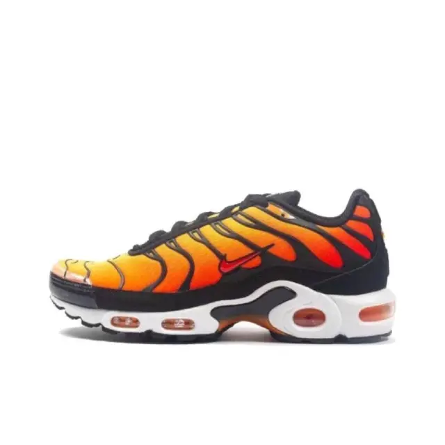 Airmax tn 8к 43 размер — Астана — 8 000 ₸