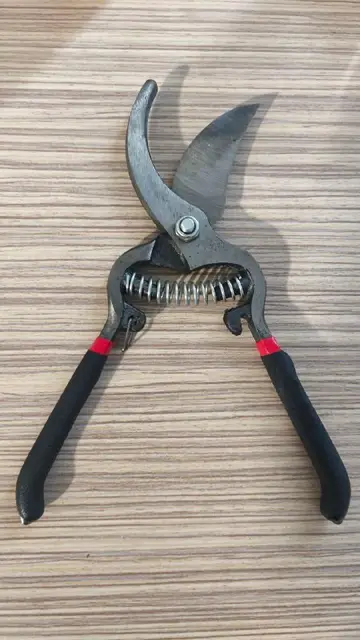 Секатор — Тбилиси — 6 ₾