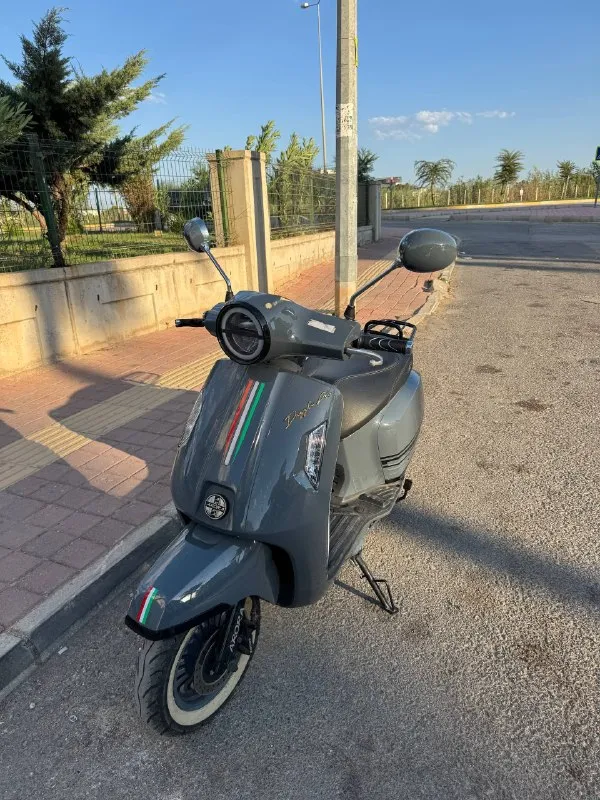 Arora Dazzle Pro 50 — 2025