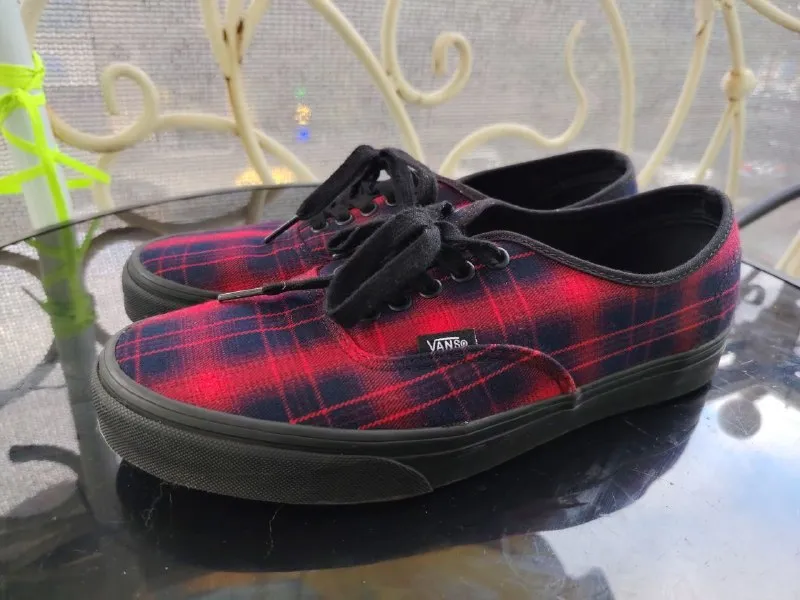 Vans slip on