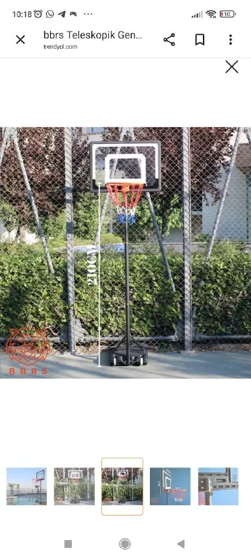 Basketbol potası
