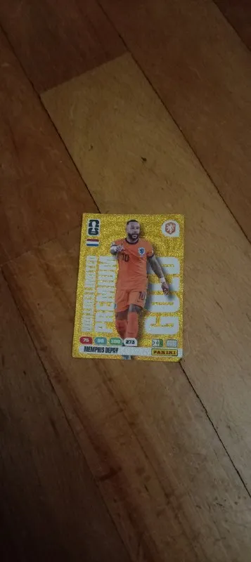 Panini 13шт
