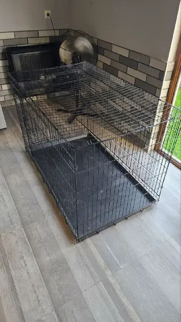 Клетка для собак — Батуми — 150 ₾
