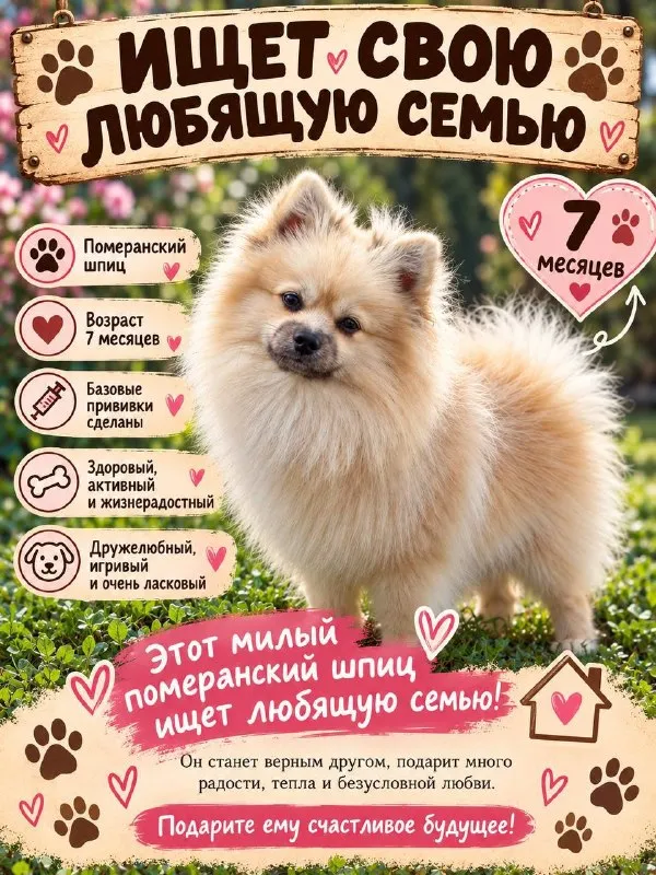 Собака для охраны