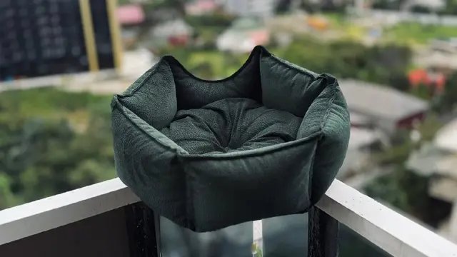 Лежанку для собачки или котика — Batumi — 100 ₾
