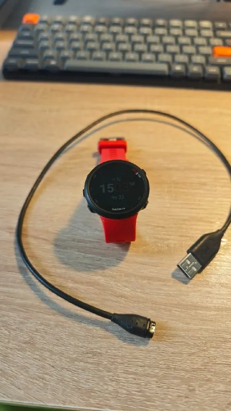Спортивные часы Garmin Forerunner 45