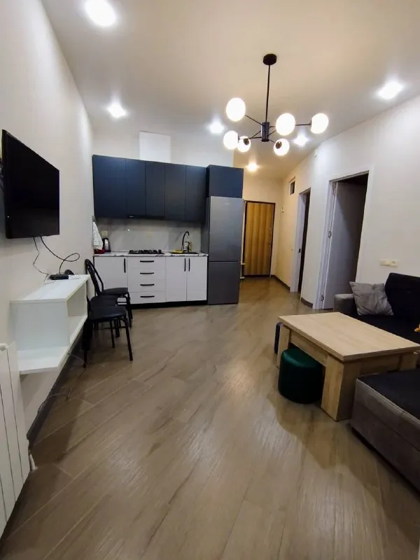 Квартира 2+1 по улице Багратиони, 129