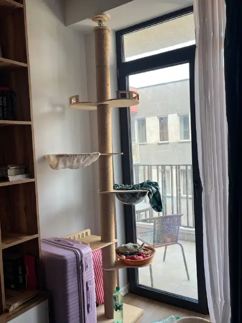 Лазилка для кота — Tbilisi — 230 ₾