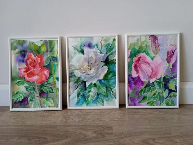 Акварели в рамках 20×30