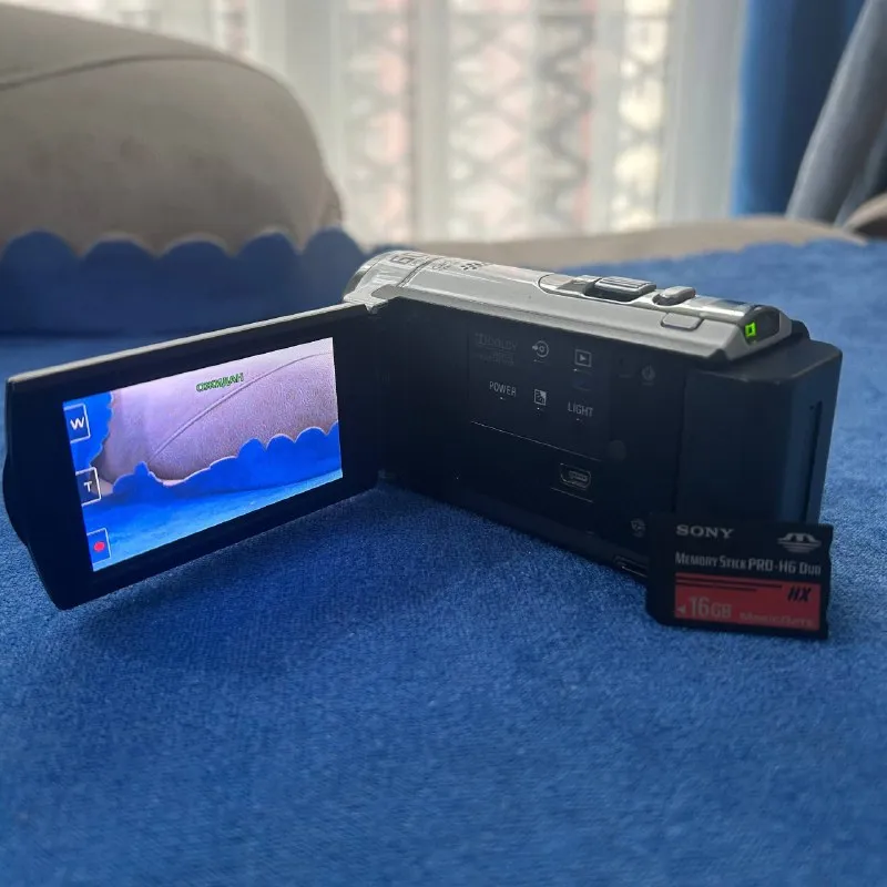 Sony Handycam DCR-SX44E