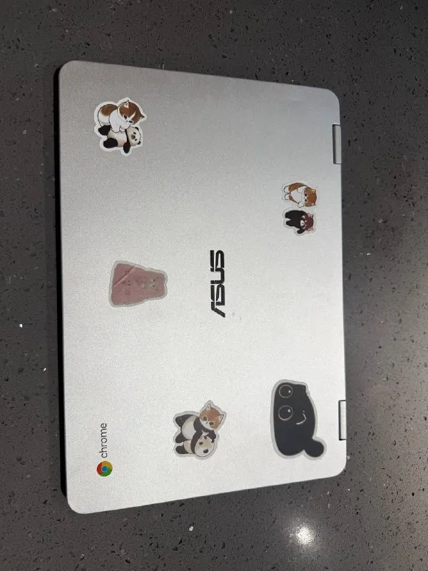 ASUS Chromebook Flip C302
