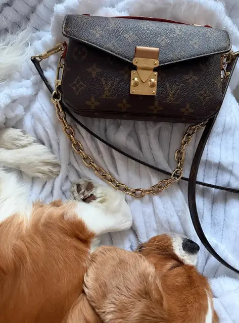 Louis Vuitton Pochette Métis East-West Monogram — Батуми — 2 700 $